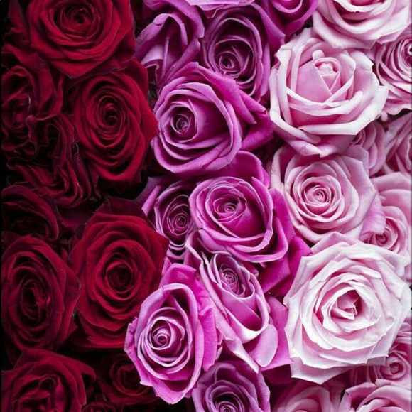 Meet your Posher, Melissa - Picture 1 of 1